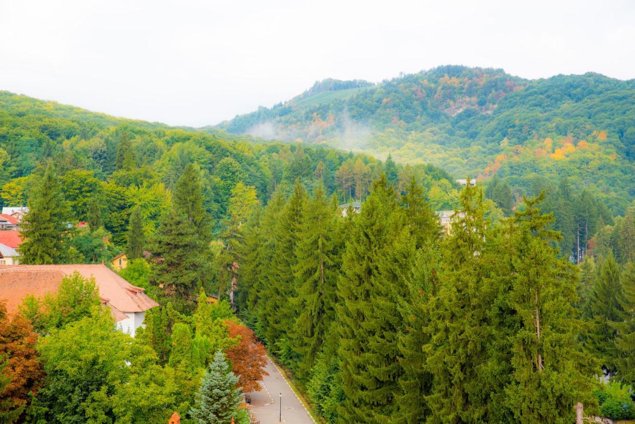 Hotel Olanesti & Spa Medical Băile Olăneşti Buitenkant foto